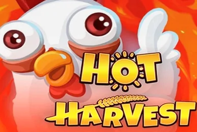 Hot Harvest